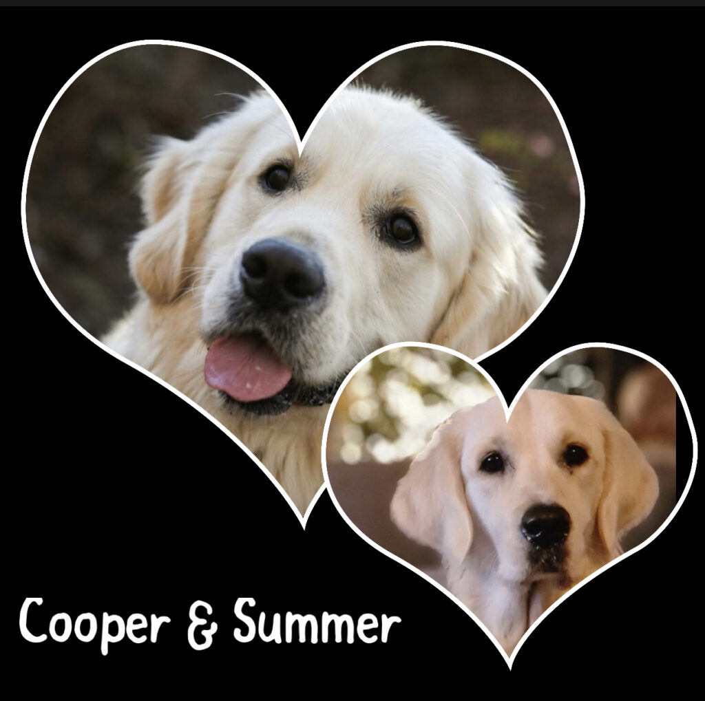 Summer en Cooper 2023